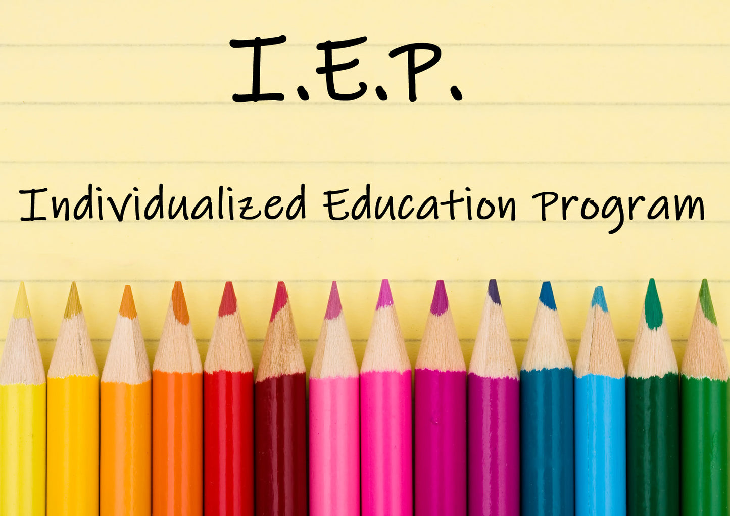 Special Education IEP Review