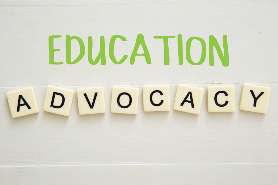 Advocacy & Special Education Support