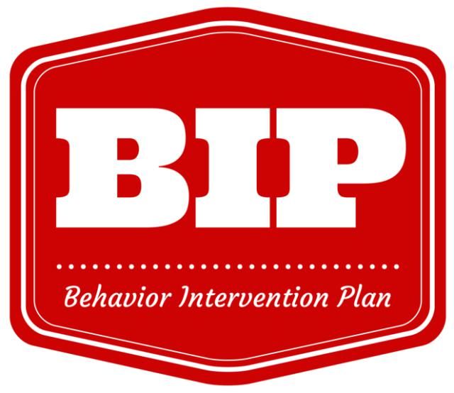 Behavior Support Planning