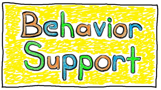Complimentary Positive Behavior Support Consultation