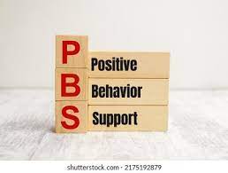 Behavior Support Instruction (Medium Size Group) (1 Hour)