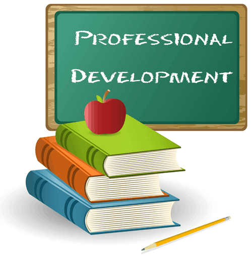 Professional Development Workshop